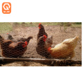 ASTM A390 hot sale Hot Galvanized electric net poultry for Agricultural